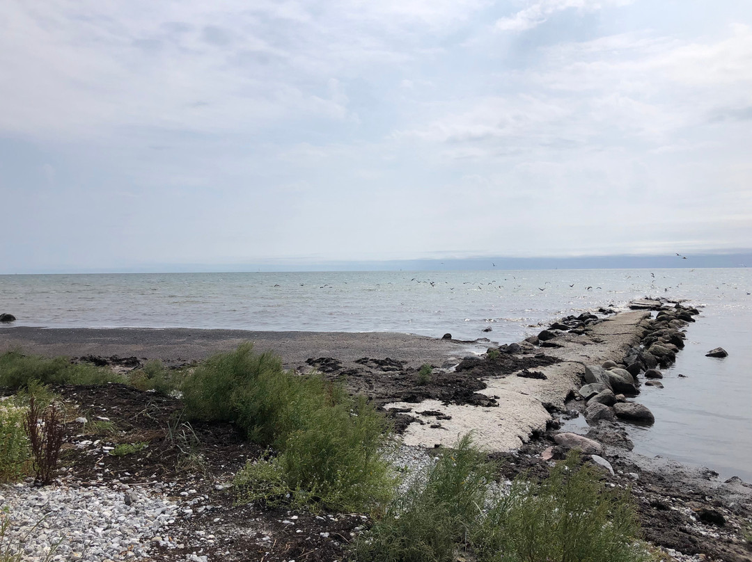 Beddingestrand旅游攻略图片