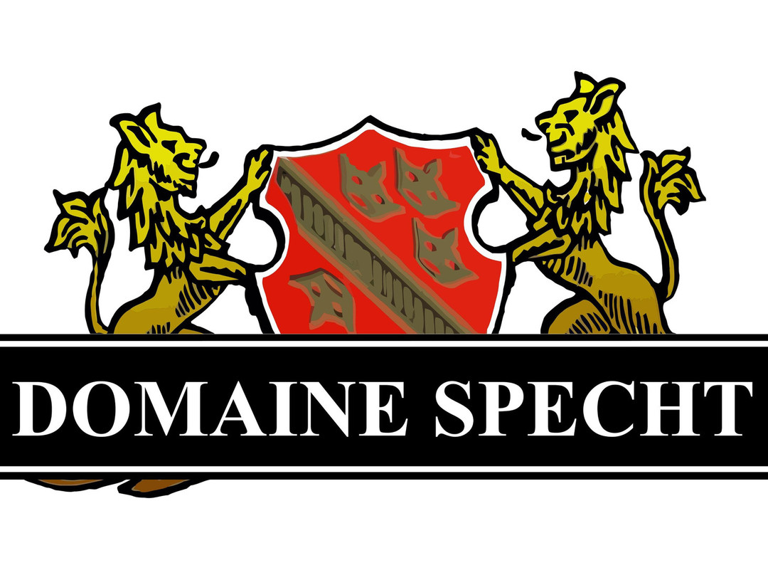 Domaine Specht - Vins et activités oenotouristiques-Mittelwihr必去景点