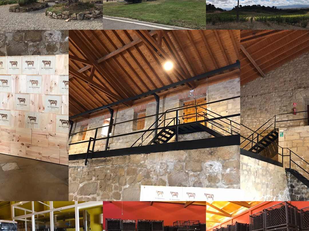 Bodegas Hacienda El Ternero-Ternero必去景点