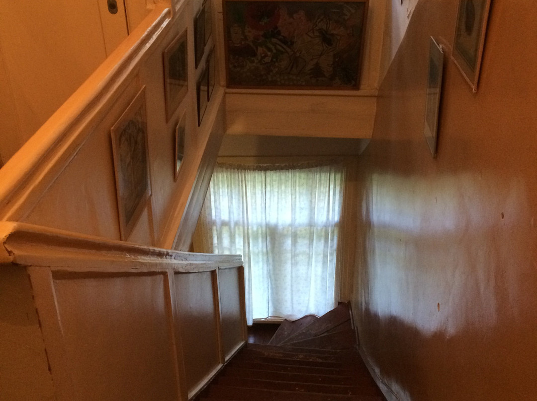 K. Chukovskiy's House Museum景点图片