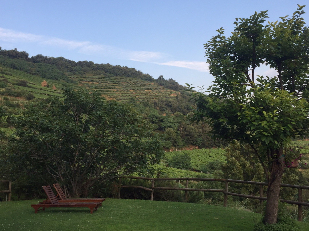 Agriturismo Libero主图