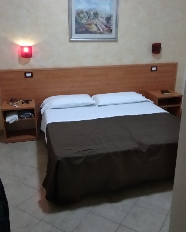 The Garden of Zephyrus主图