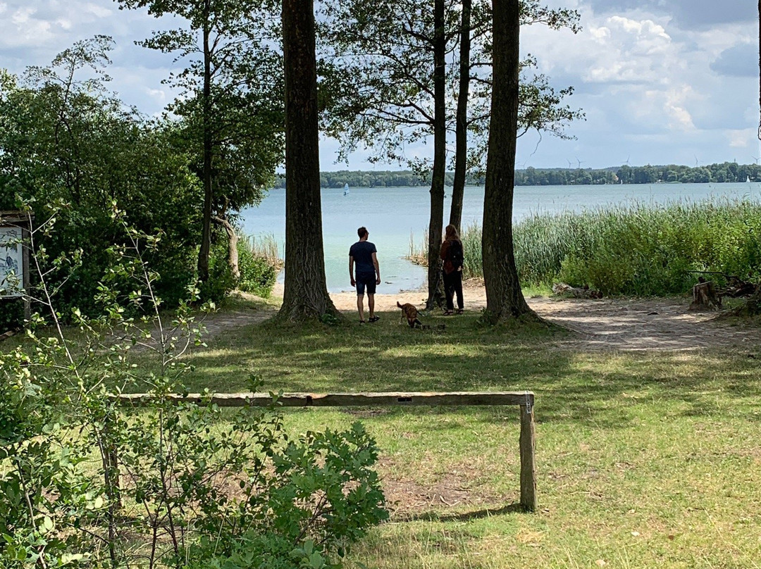 Arendsee Lake景点图片