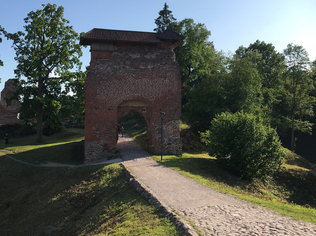 Viljandi Musical Instrument Park景点图片