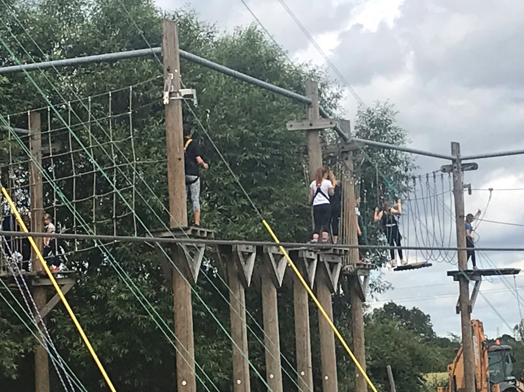 Wired High Ropes Challenge景点图片