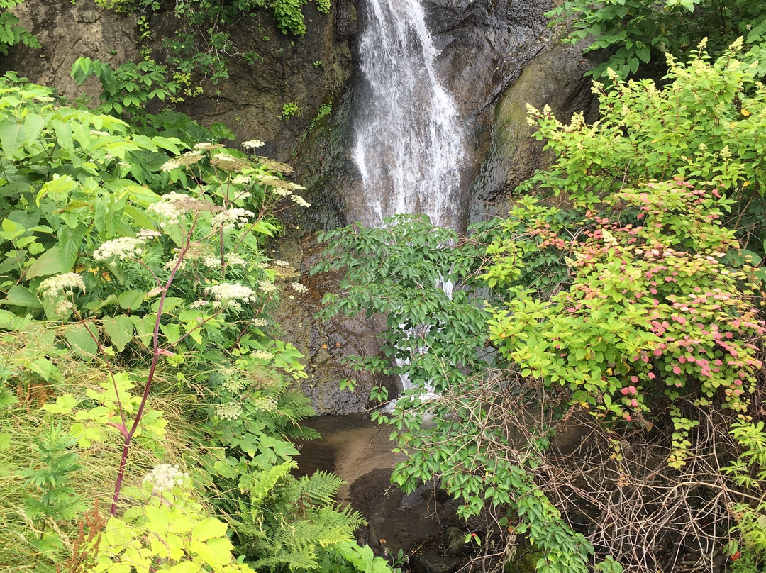 Shamisen Falls-鹿部町必去景点