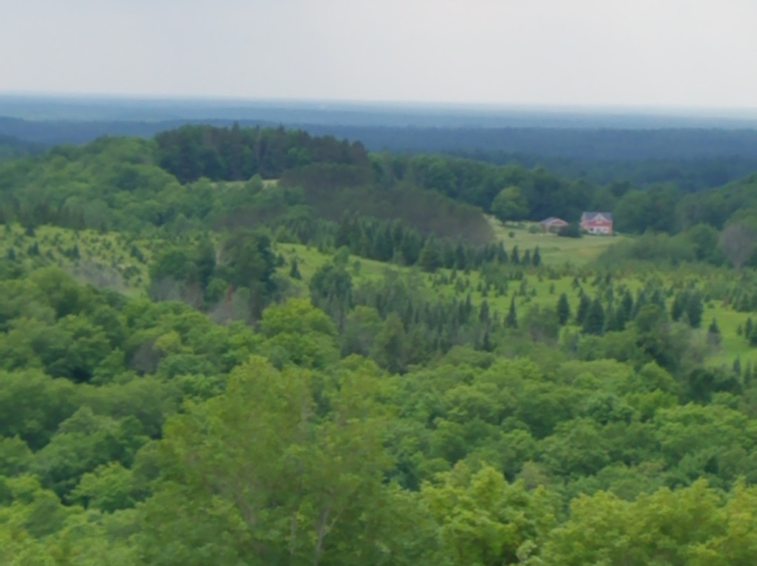Timm's Hill County Park-Ogema必去景点