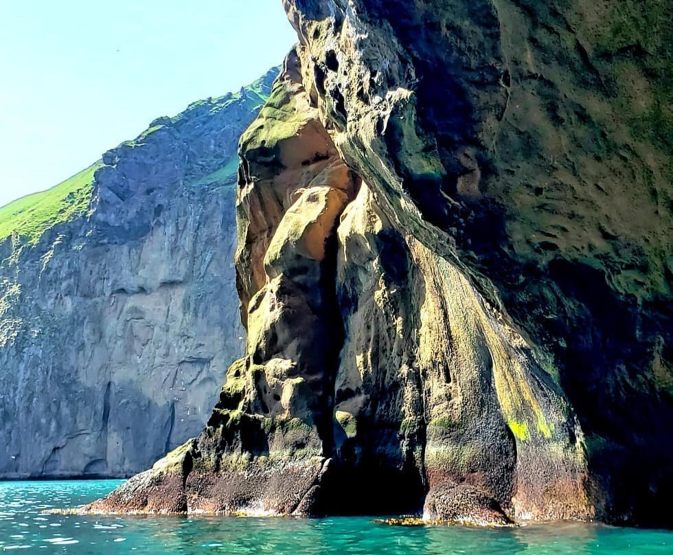 Seabirds and Cliff Adventures-韦斯特曼纳群岛必去景点