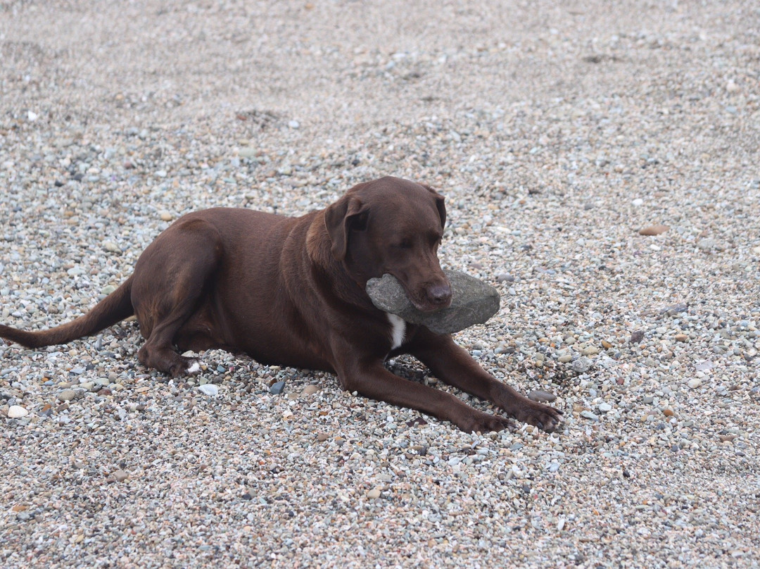 Villa de Los Suenos主图