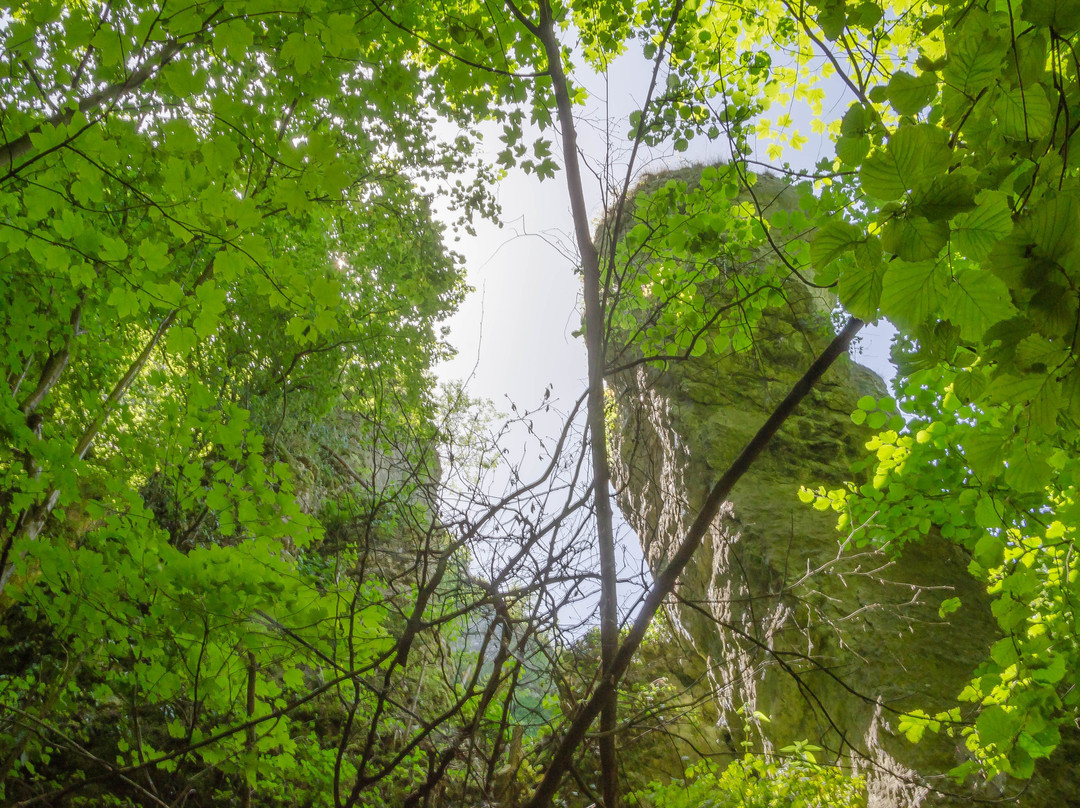 Jaskinia Nad Matka Boska景点图片