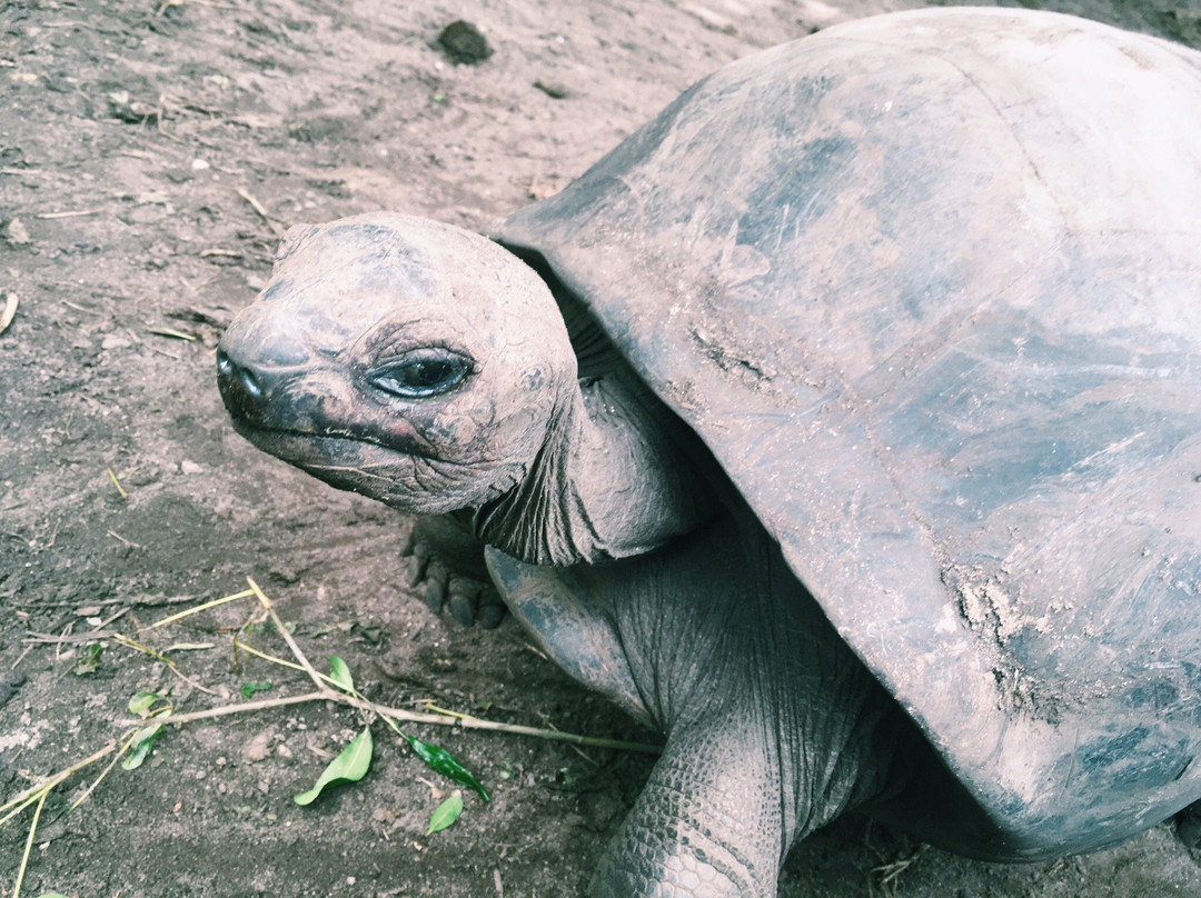 Beryl Guest House主图