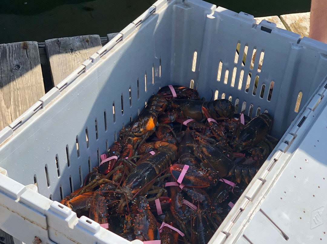 Corea旅游攻略图片