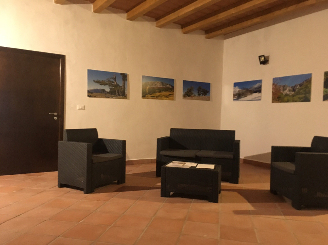 Alfonso di Loria主图