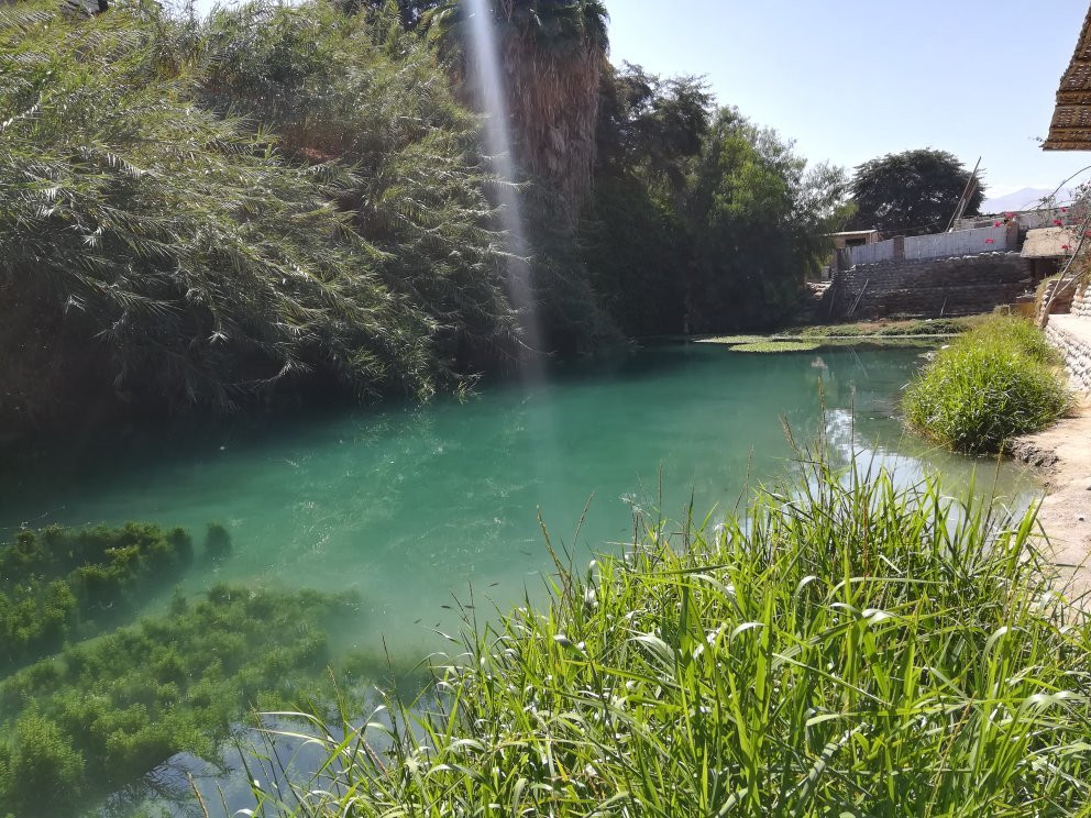 Mantantial La Maquina Palpa主图