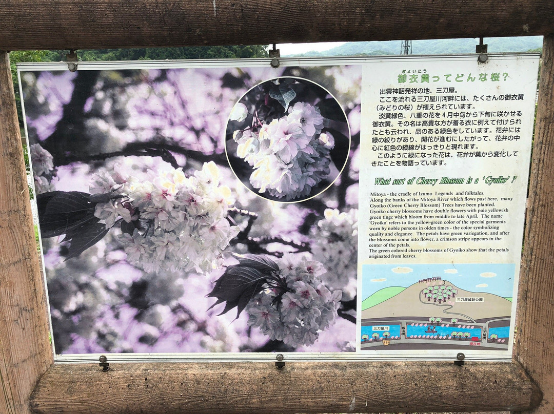 Mitoyagawa Kasenjiki Park-云南市必去景点