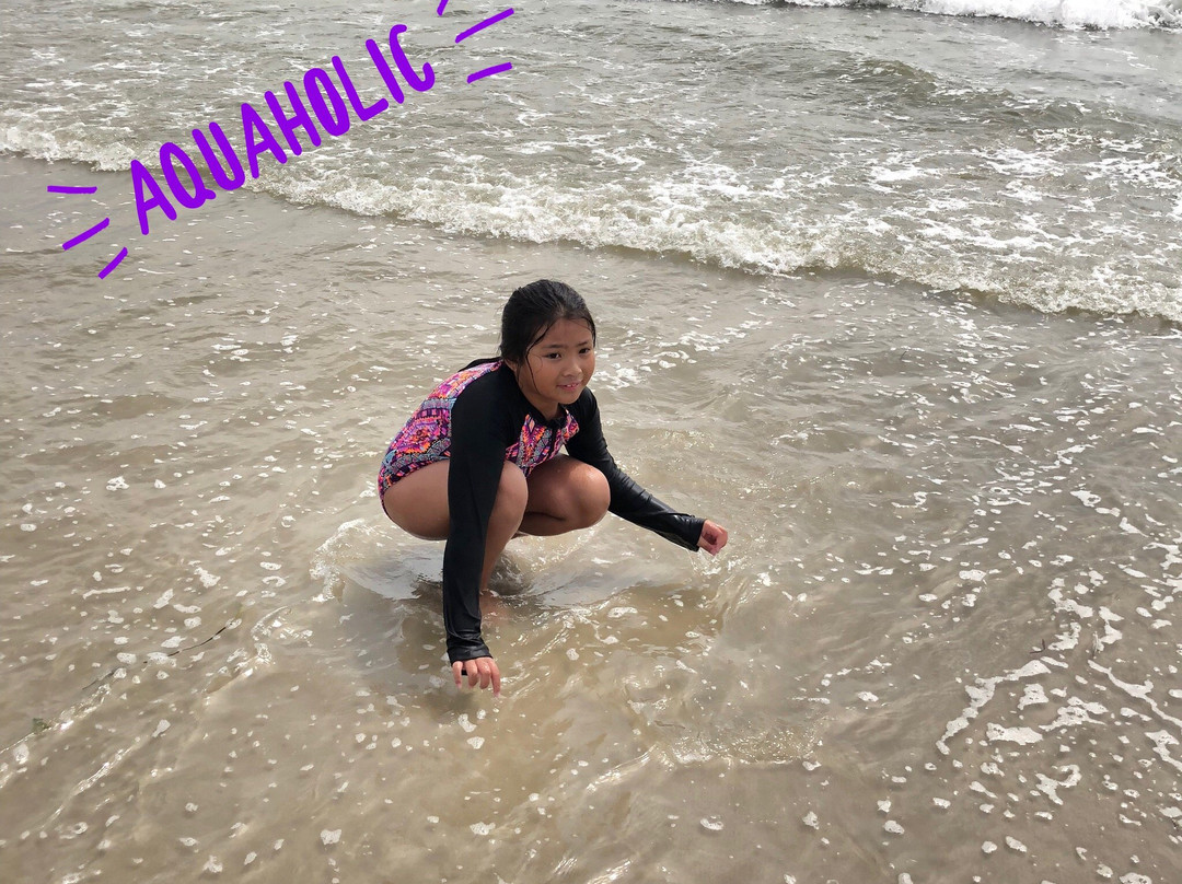 Lido Beach-Lido Beach必去景点