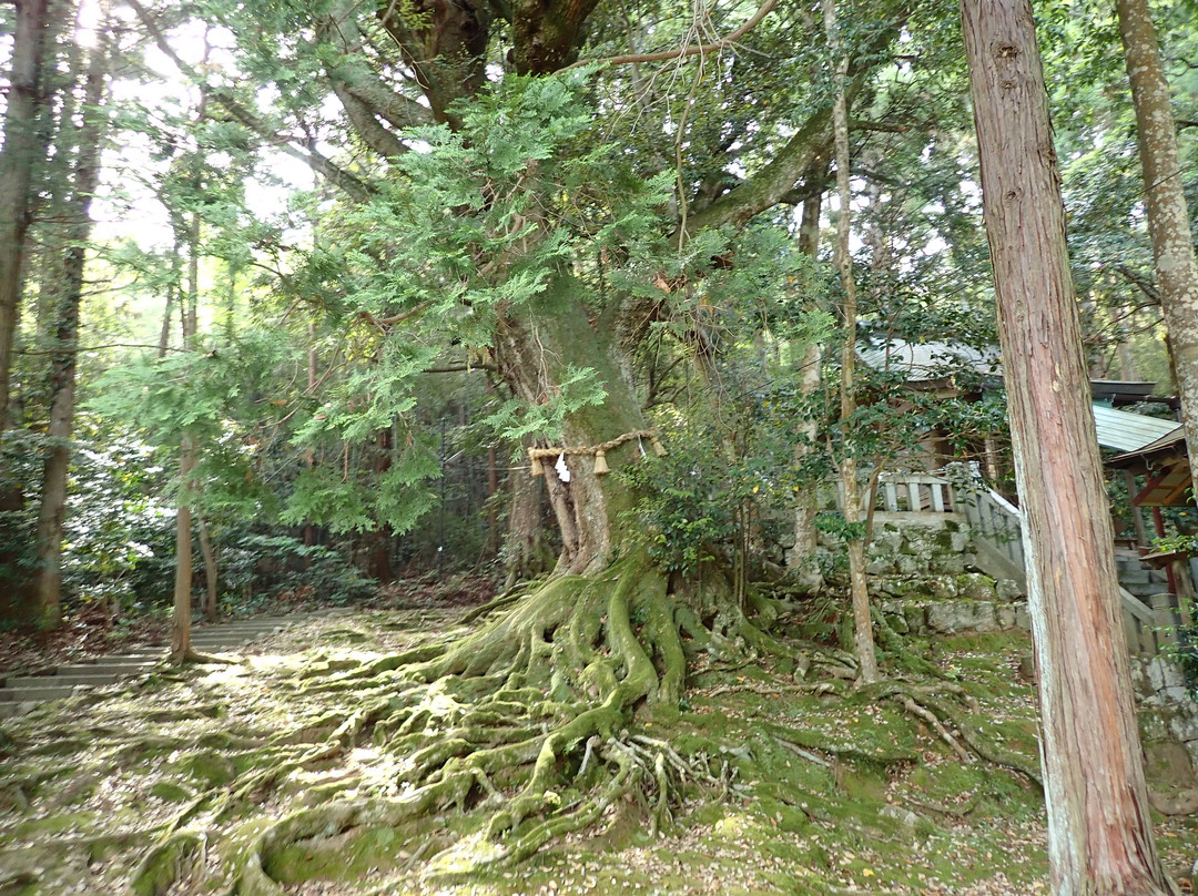 Akaiiwa Shrine景点图片