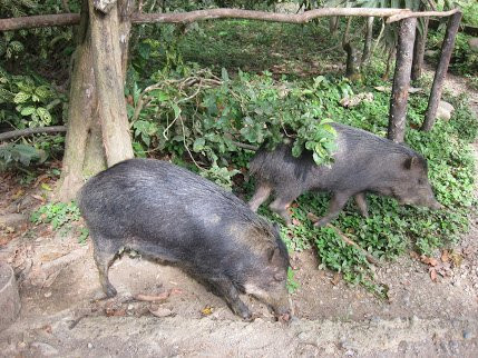 Dos Loritos-Paucartambo必去景点