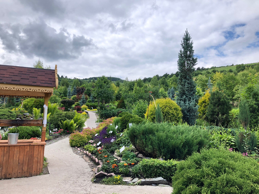 Blooming Valley Arboretum-Altaiskoye必去景点