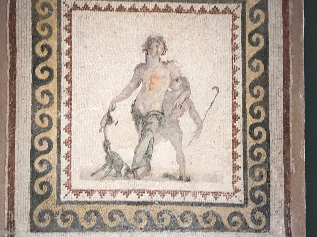 Hatay Archeology Museum景点图片
