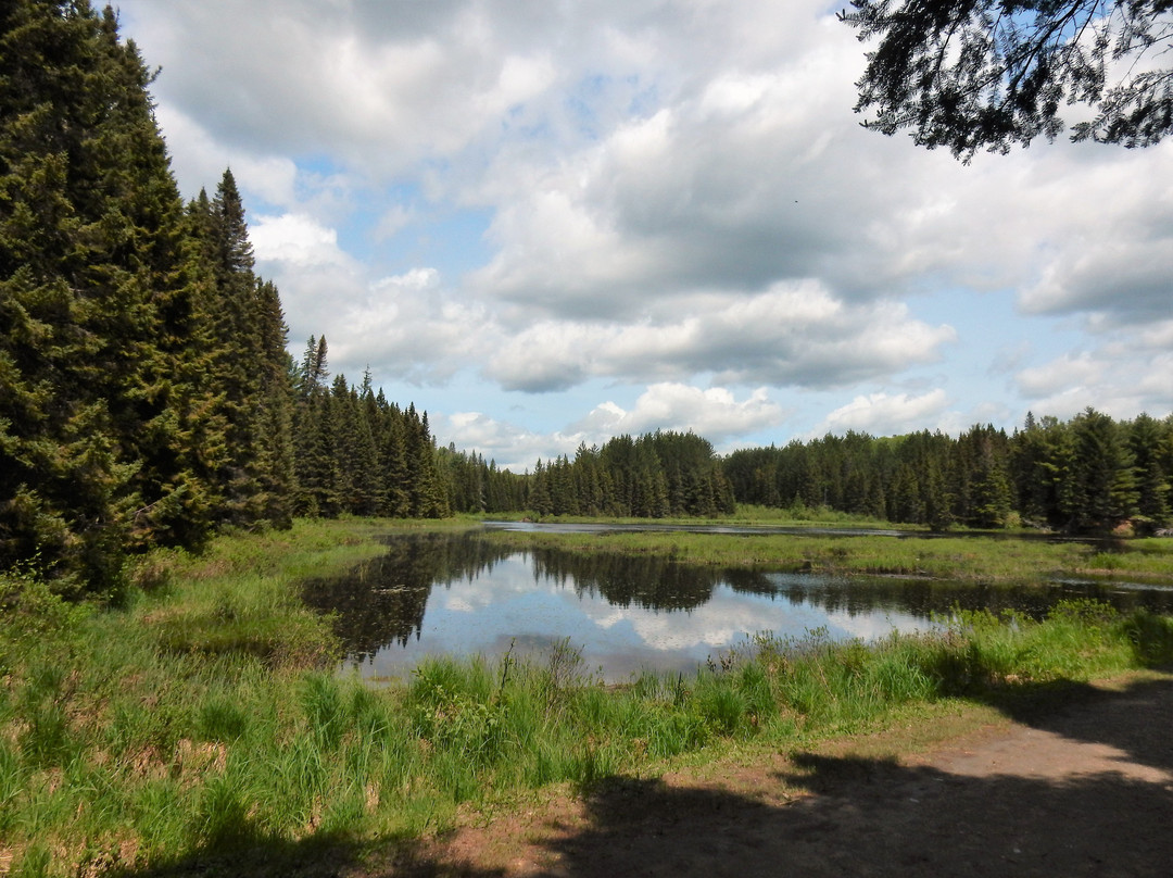 Algonquin Logging Museum Trail景点图片