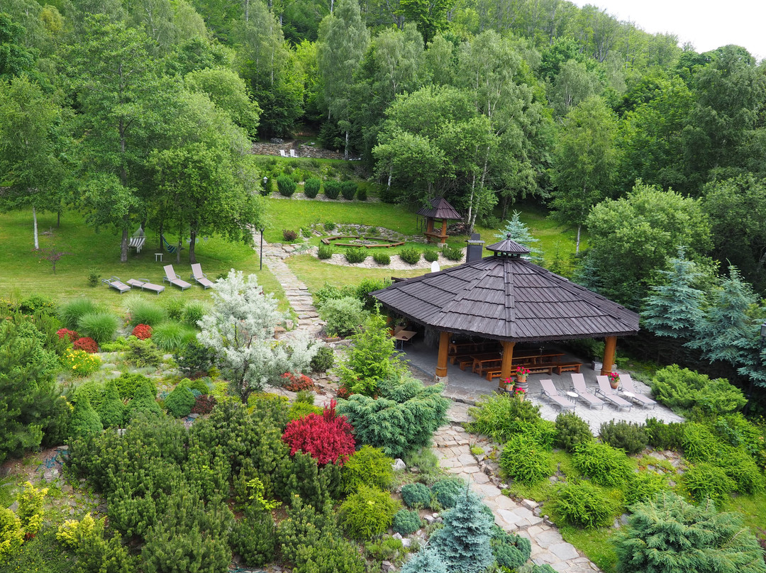 Villa Elise Park Pension主图