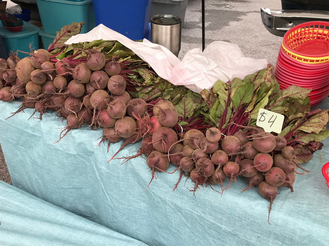 Square Gardens-费耶特维尔必去景点