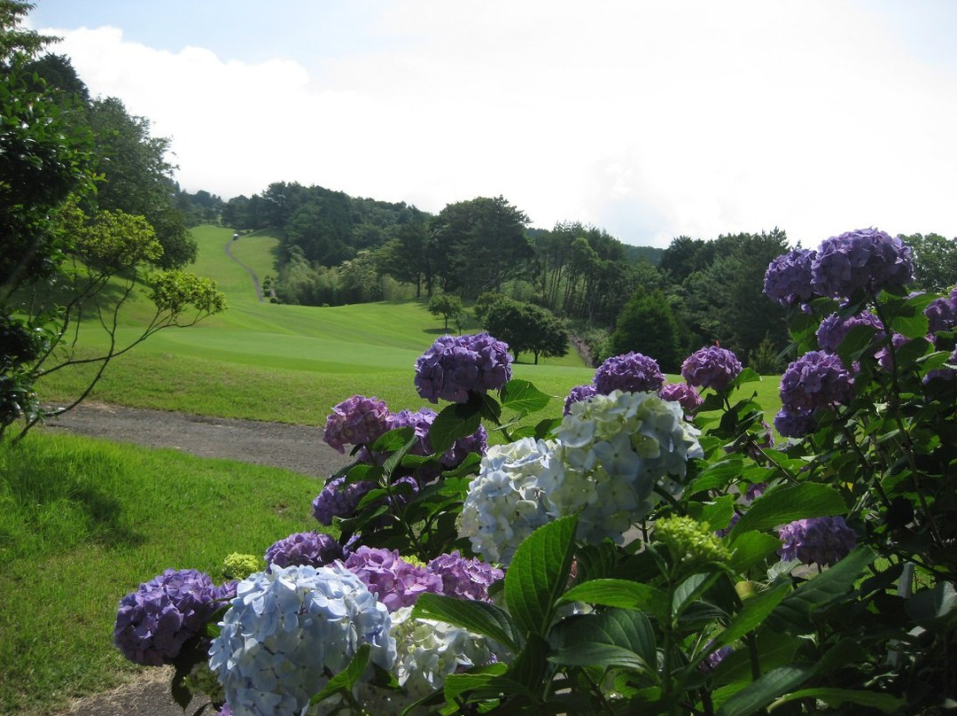 Kannami Golf Club景点图片