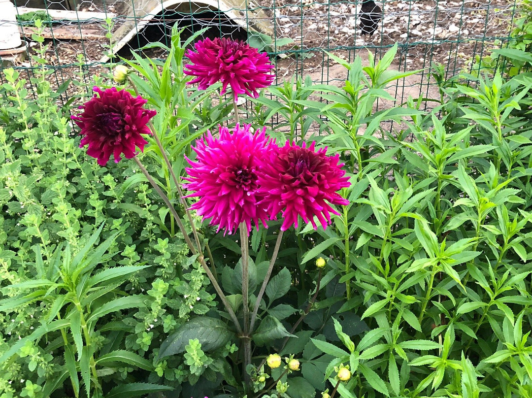 Le Moulin en Medoc主图