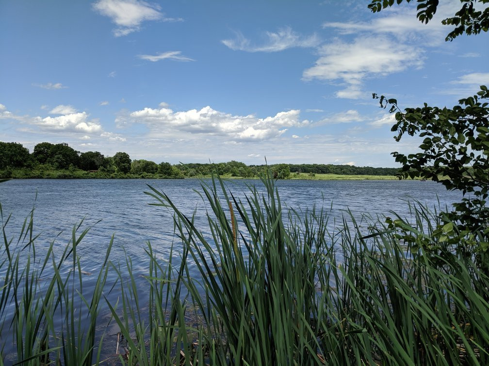 Shabbona Lake State Park景点图片