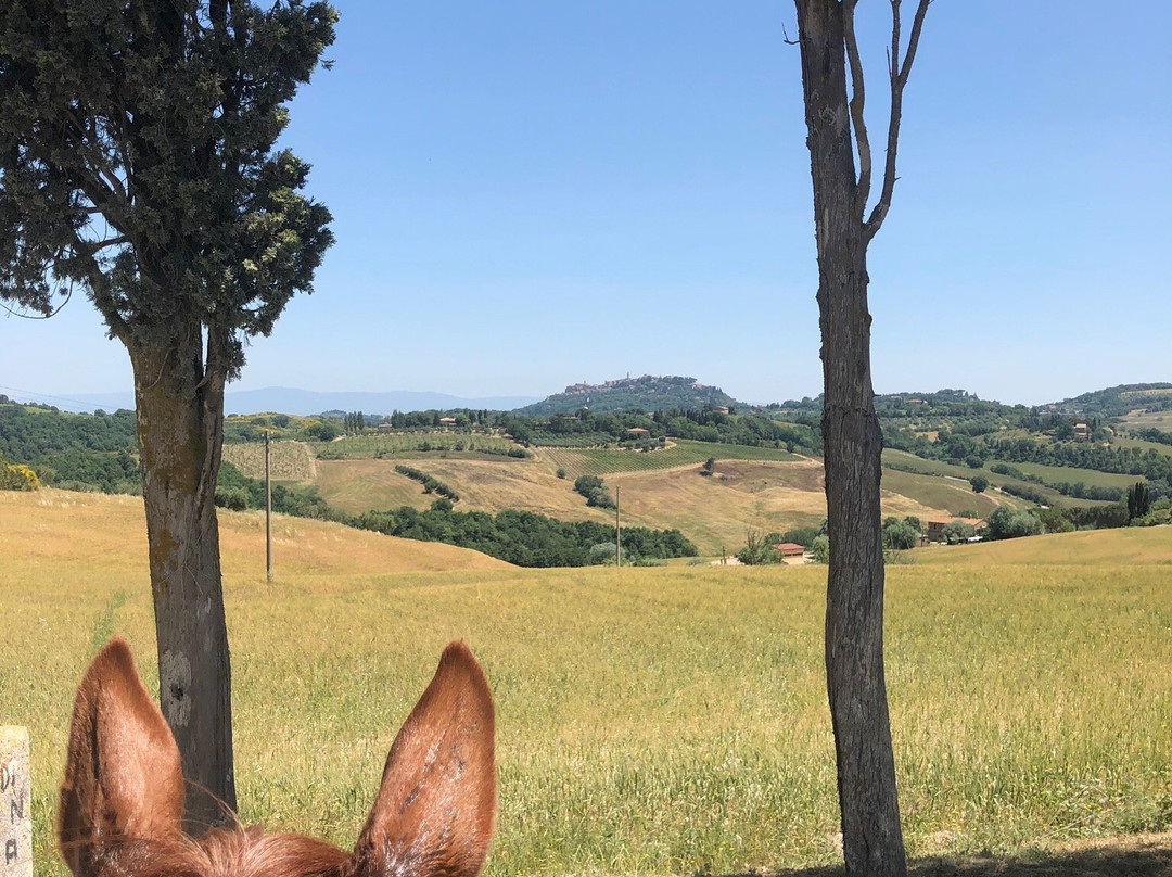 Horse Riding Tre Laghi-丘西必去景点