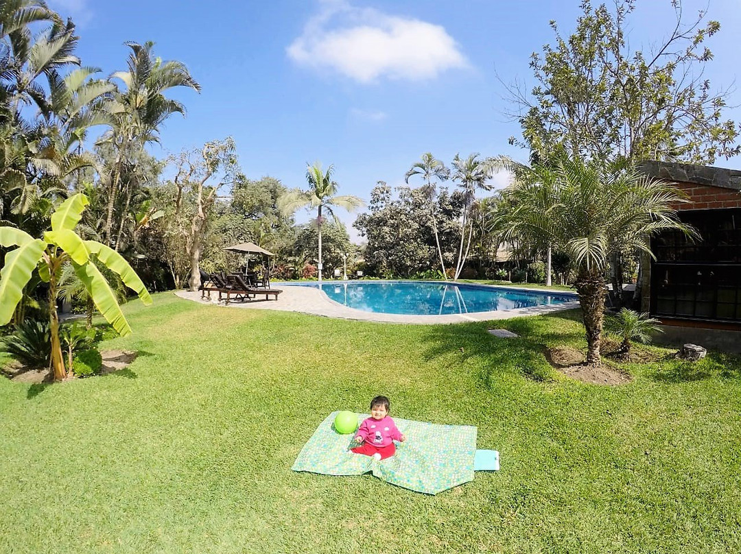 Casa del Gringo主图