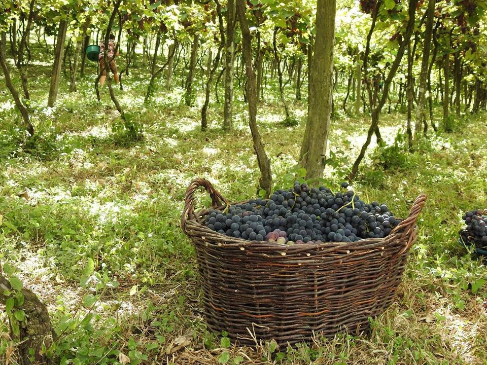 Sitio Familia Favaretto-Serio必去景点