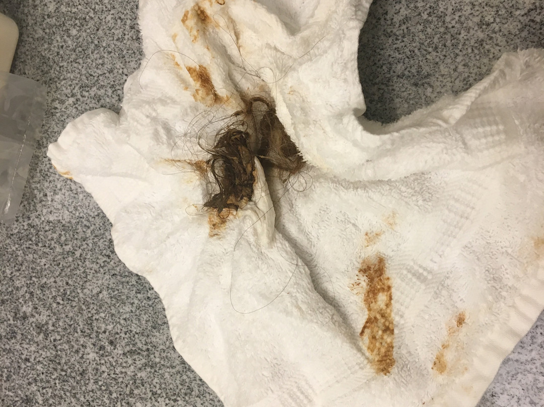 Best Western Palace Inn & Suites主图