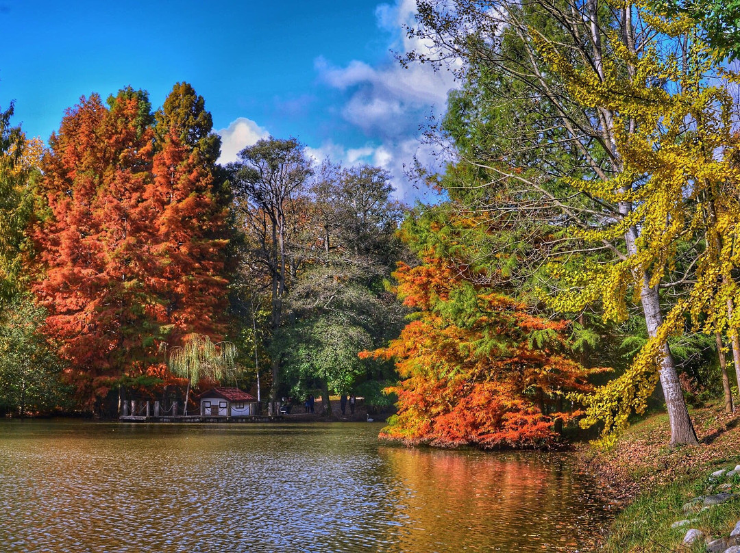 Ataturk Arboretumu-伊斯坦布尔必去景点
