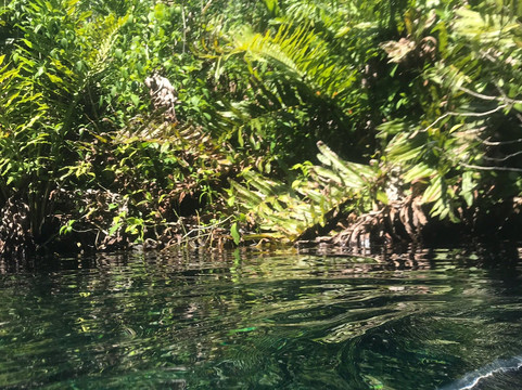 Avatar Adventures-图伦必去景点