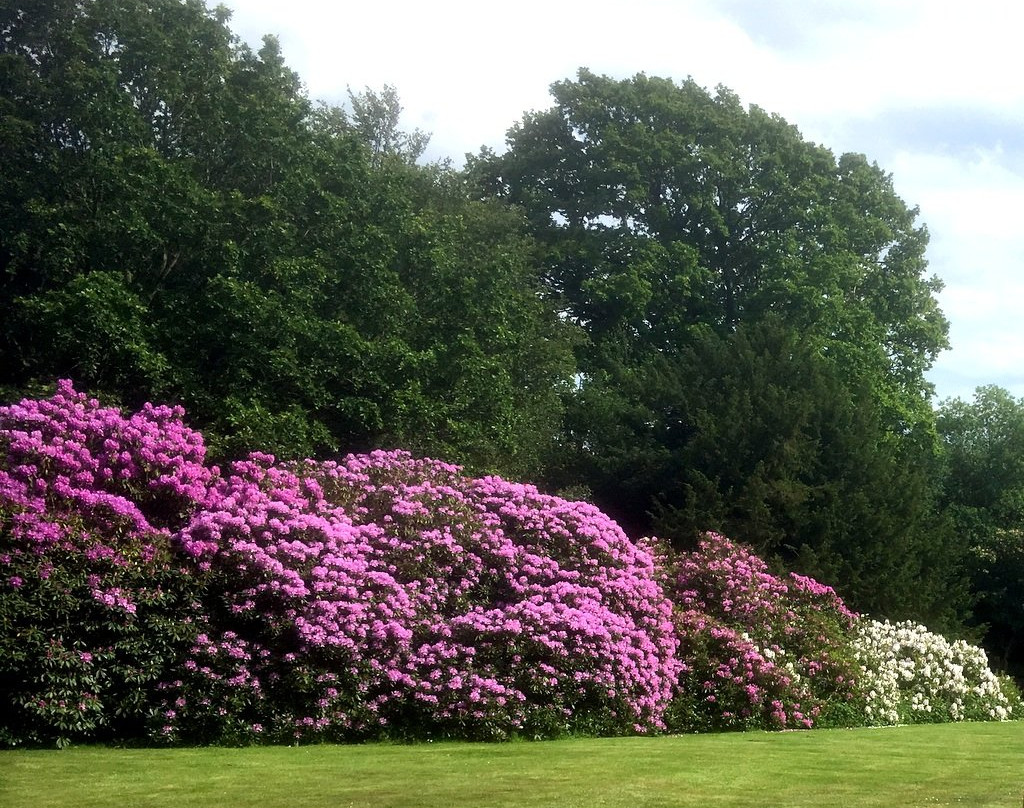 Grinkle Park Hotel主图