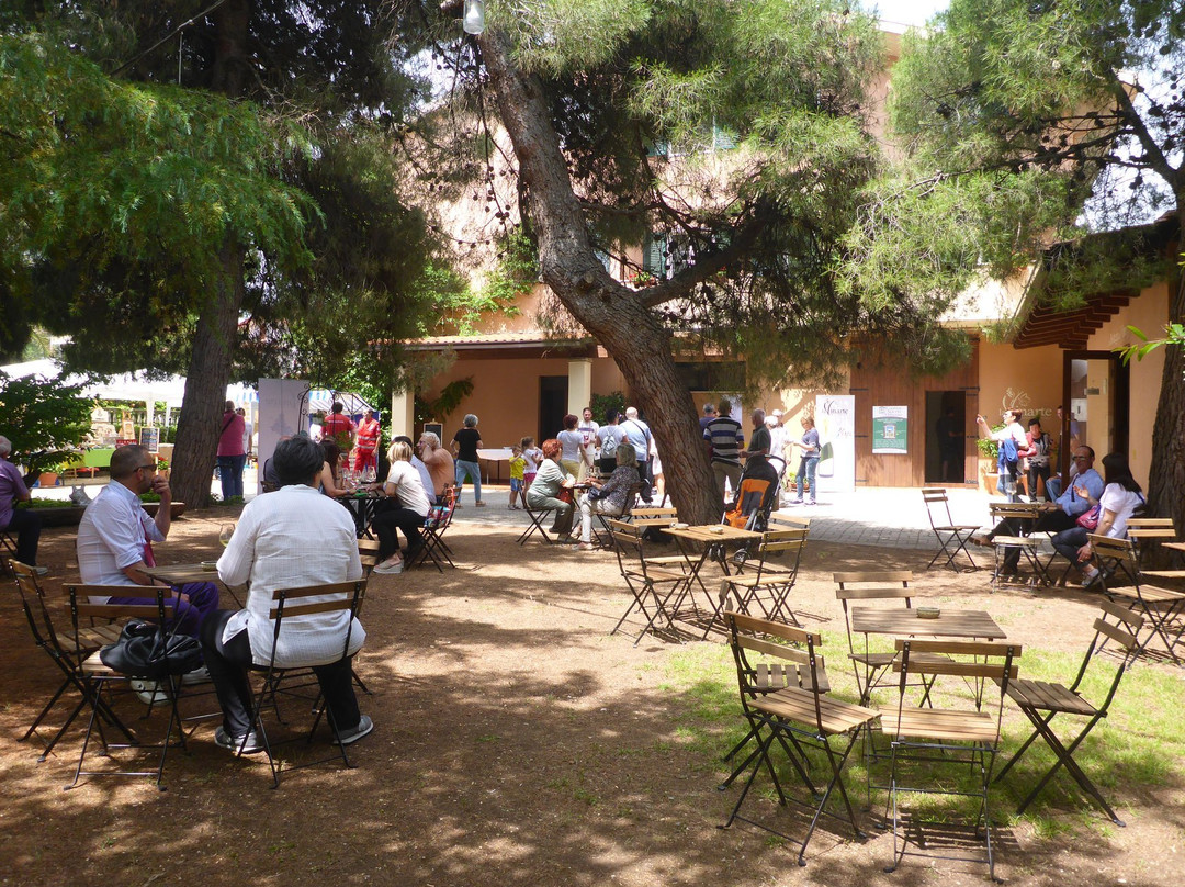 Mozzagrogna旅游景点-La Vinarte Azienda Agricola