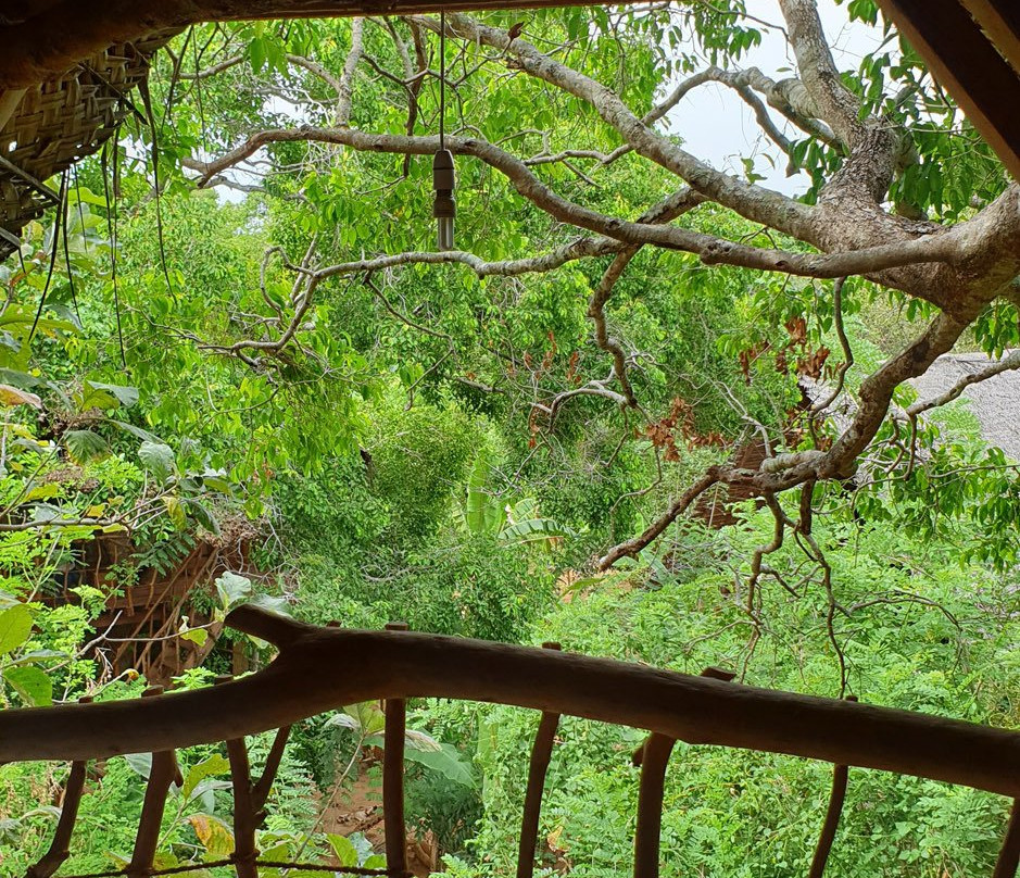 Ambasewana Resort主图