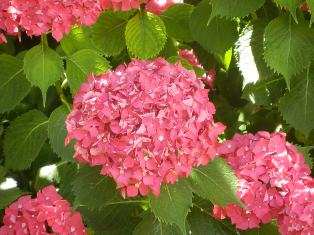 中央公寓酒店主图