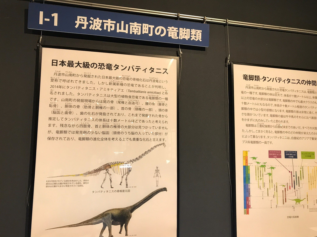 Hyogo Prefectural Operated Human and Nature Museum-三田市必去景点