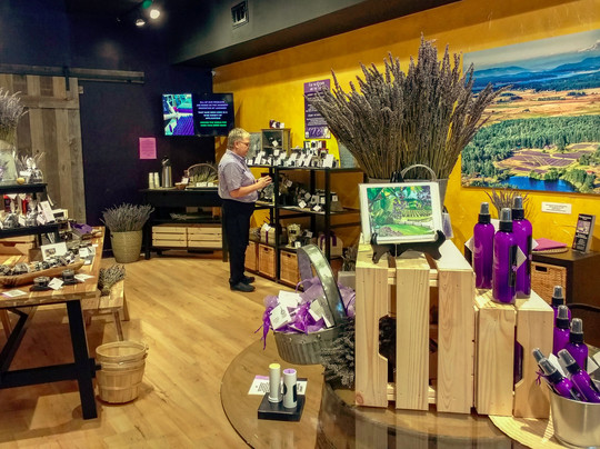 Pelindaba Lavender Savannah-萨凡纳必去景点