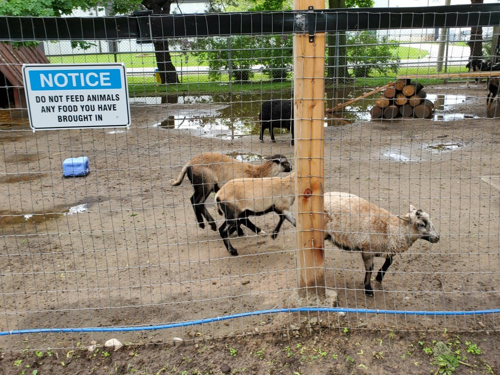 Happy Rolph's Animal Farm景点图片