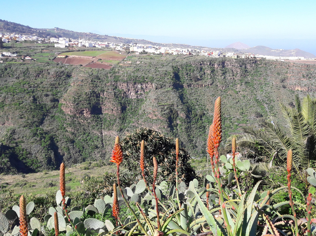 Mirador Barranco Las Madres景点图片