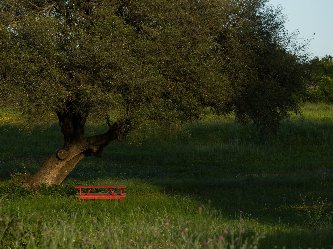 The Vineyard at Florence主图