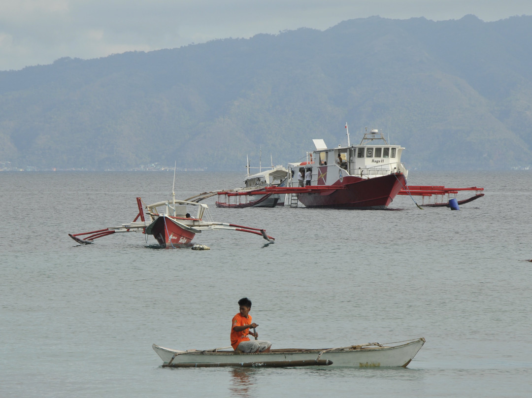 Diving Puerto Galera-葡多咖蕾拉必去景点