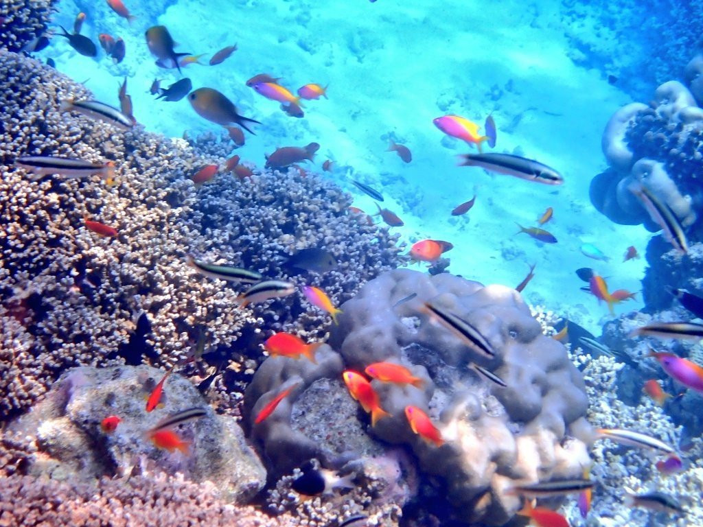 胡拉瓦尔西岛度假村主图