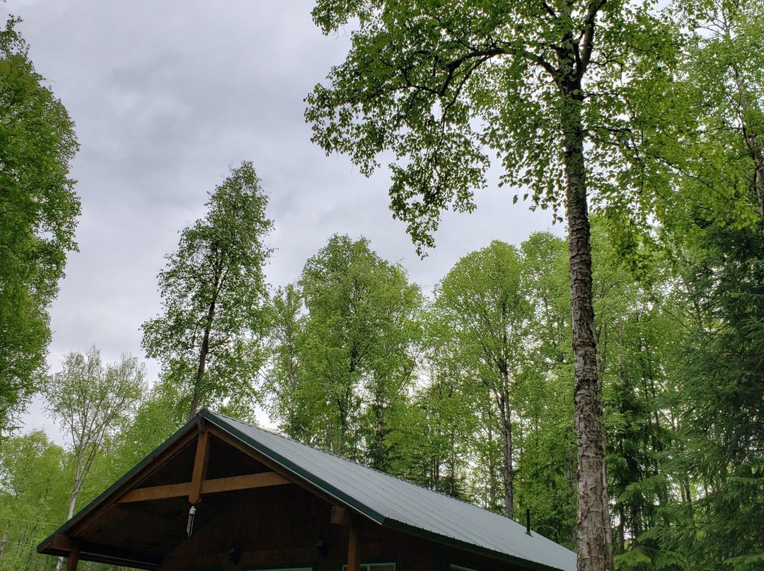 Black Bear Bed & Breakfast主图