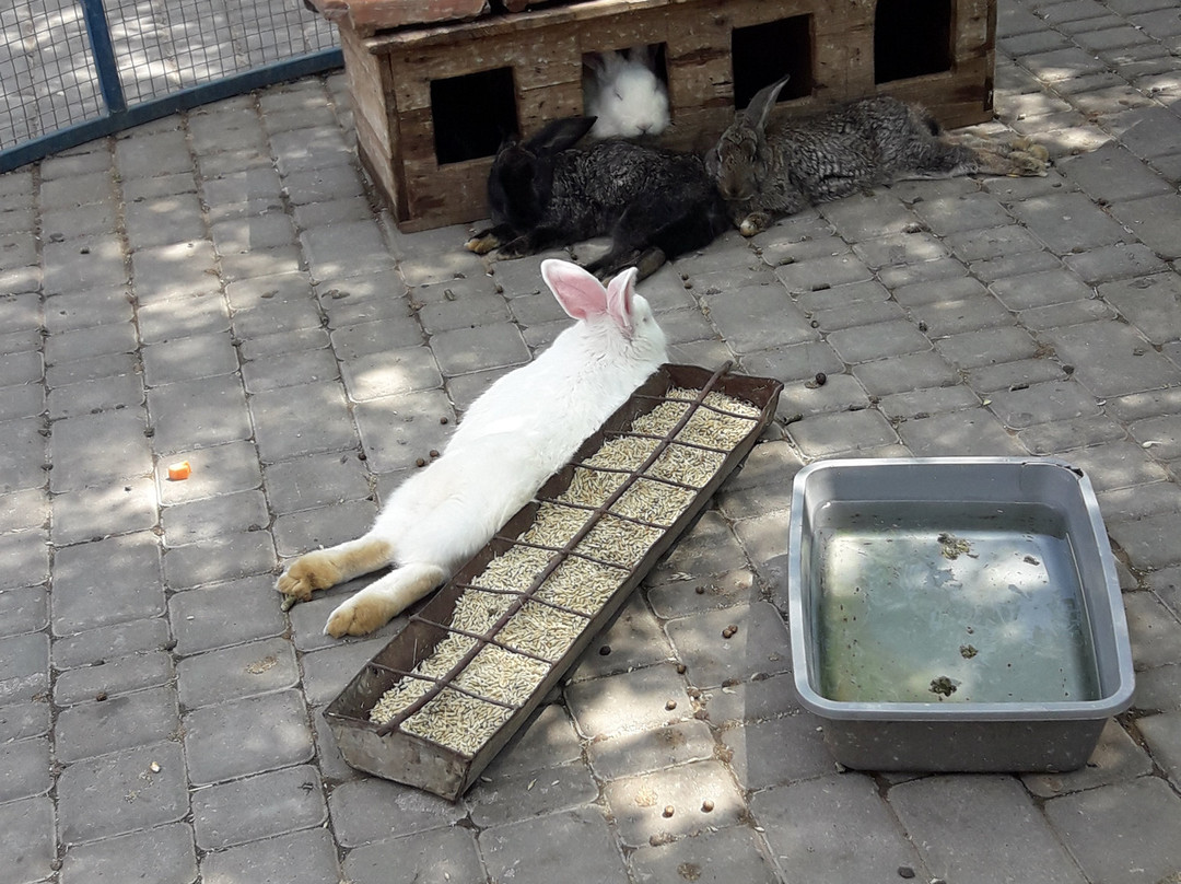 Ethno Park New Vasyuki-Molodizhne必去景点