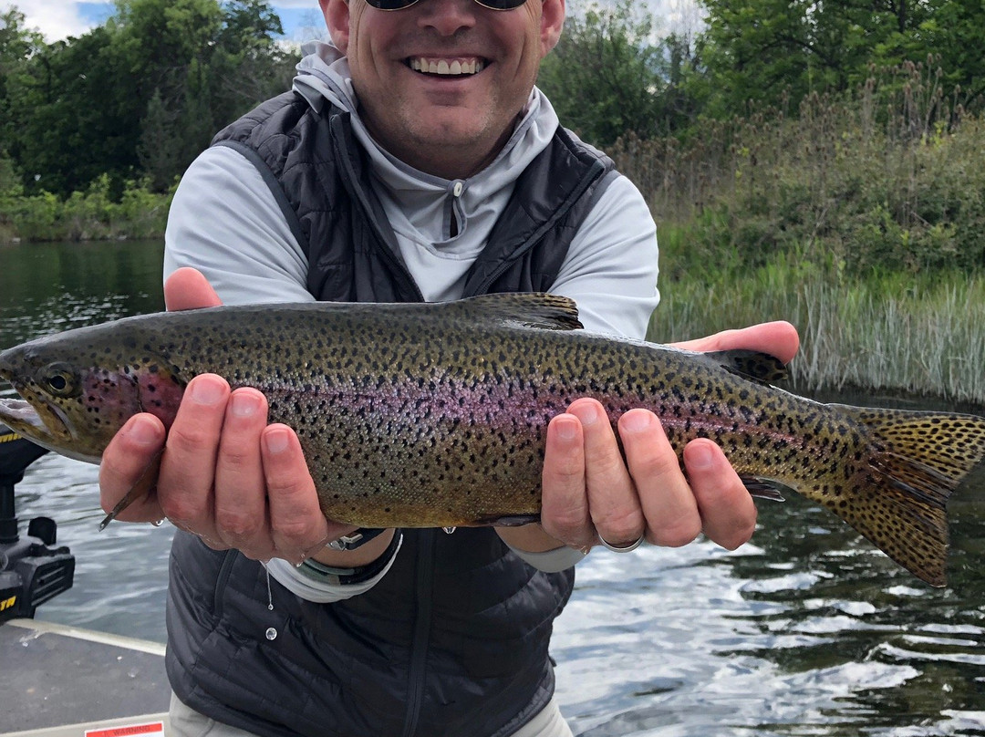 Reel Adventures Guide-雷丁必去景点